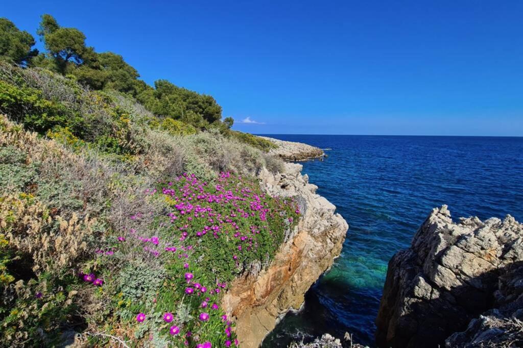 Casalionelantibes 70 Sqm Apartment With Garden And Parking Exterior photo